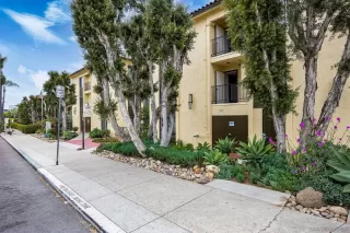 Photo #1: 250024679 Listing