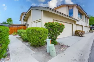 Photo #1: 250024798 Listing 