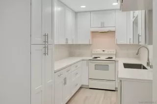 Photo #2: 250024814 Listing 