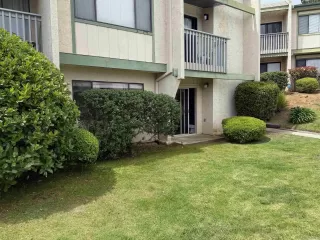 Photo #1: 250024817 Listing