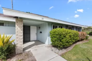 Photo #1: 250024865 Listing 