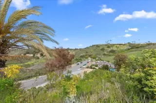 Photo #3: 250024865 Listing 