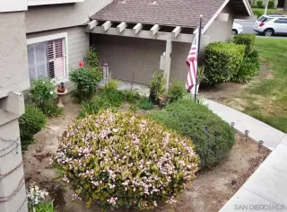 Photo #1: 250024900 Listing