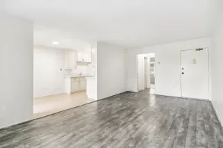 Photo #1: 250024923 Listing