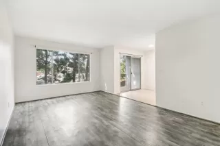 Photo #2: 250024923 Listing