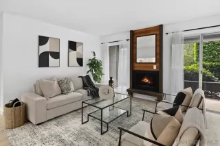 Photo #1: 250024987 Listing