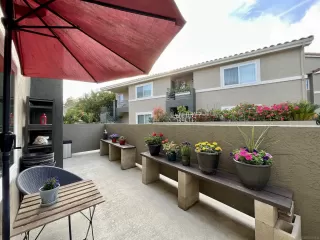 Photo #1: 250025026 Listing