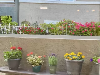 Photo #3: 250025026 Listing