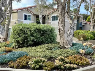 Photo #4: 250025026 Listing