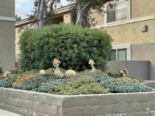 Photo #5: 250025026 Listing