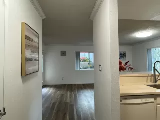 Photo #6: 250025026 Listing