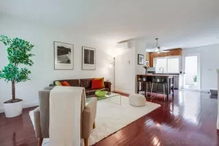 Photo #1: 250025079 Listing 