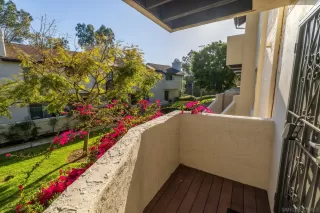 Photo #2: 250025113 Listing