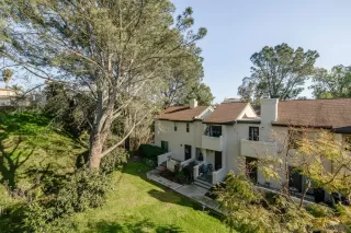 Photo #3: 250025113 Listing