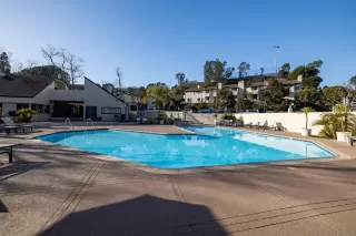 Photo #4: 250025113 Listing