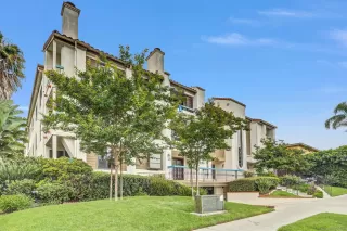 Photo #1: 250025136 Listing