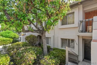 Photo #2: 250025147 Listing 