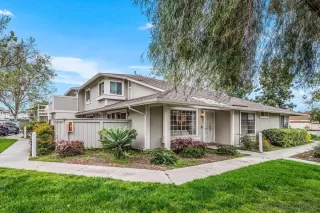 Photo #1: 250025191 Listing