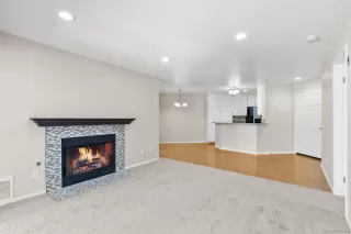 Photo #1: 250025297 Listing