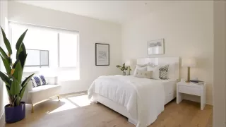 Photo #1: 250025527 Listing