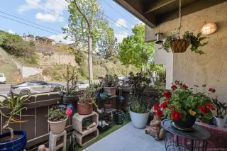 Photo #4: 250025533 Listing 