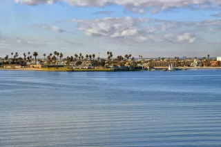 Photo #4: 250025566 Listing