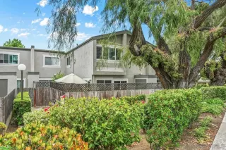 Photo #1: 250025695 Listing