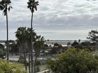 Photo #3: 250025751 Listing