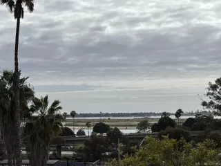 Photo #4: 250025751 Listing