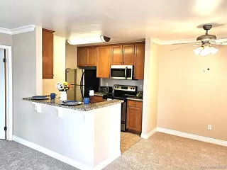 Photo #1: 250025772 Listing