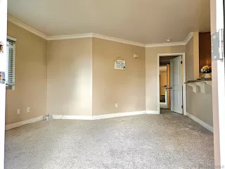 Photo #5: 250025772 Listing