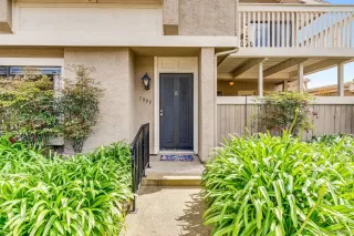 Photo #1: 250025799 Listing