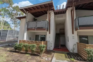 Photo #1: 250025823 Listing