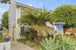 Photo #2: 250025884 Listing