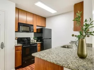 Photo #4: 250026203 Listing