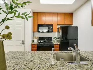 Photo #5: 250026203 Listing