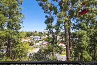 Photo #6: 250026216 Listing