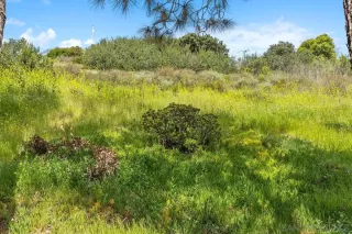 Photo #1: 250026229 Listing