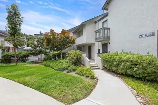 Photo #1: 250026246 Listing