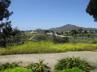 Photo #1: 250026340 Listing