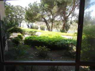 Photo #2: 250026340 Listing