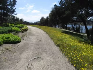 Photo #3: 250026340 Listing