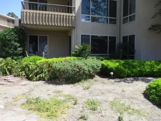 Photo #4: 250026340 Listing