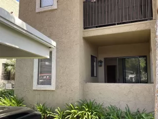 Photo #2: 250026391 Listing