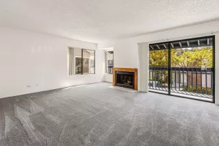 Photo #2: 250026424 Listing 