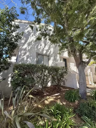 Photo #1: 250026434 Listing