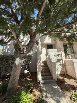 Photo #2: 250026434 Listing