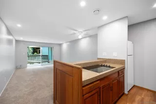 Photo #5: 250026614 Listing