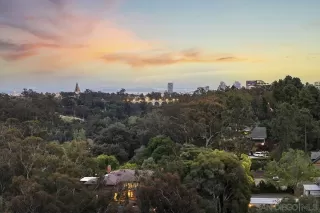 Photo #3: 250026635 Listing