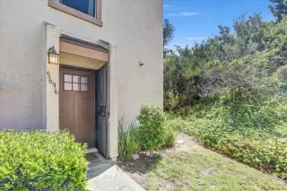 Photo #4: 250026695 Listing